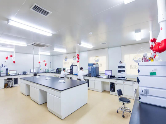 吸附式凈化實(shí)驗(yàn)室 吸附式凈化實(shí)驗(yàn)室